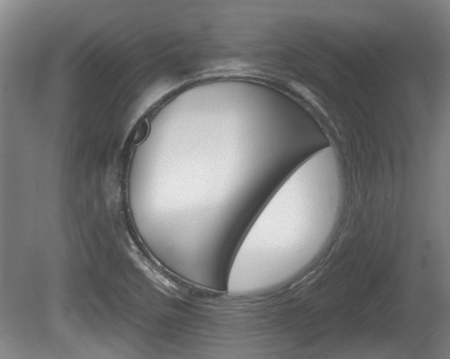 X0000078871458200611131015