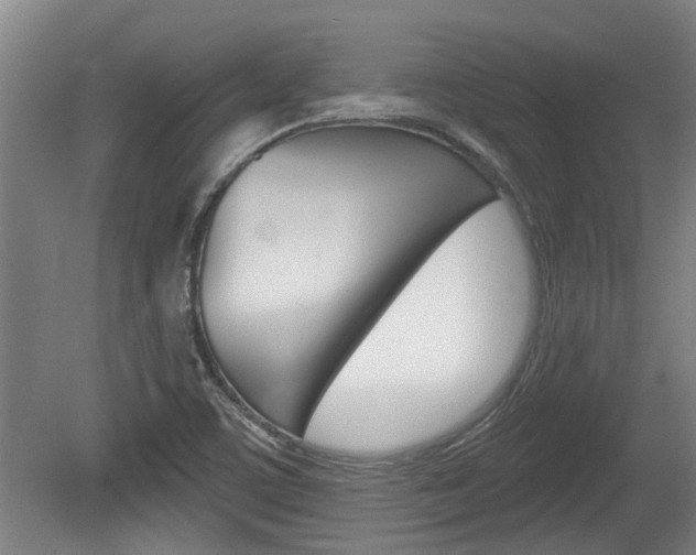 X0000078871459200611131015