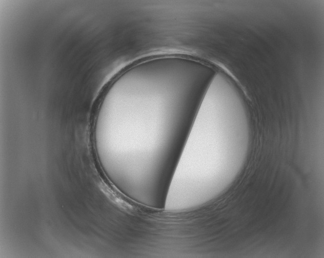 X0000078871460200611131015