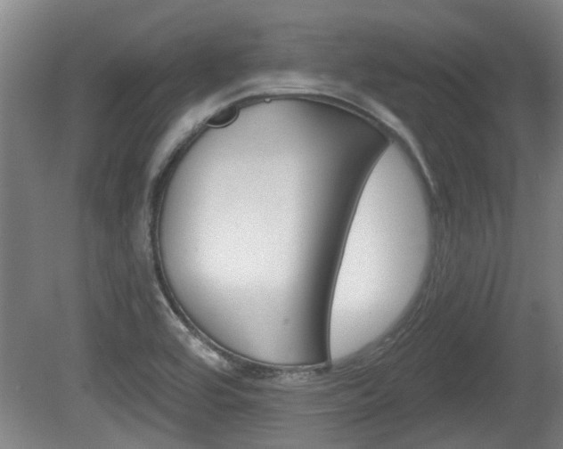 X0000078871464200611131015