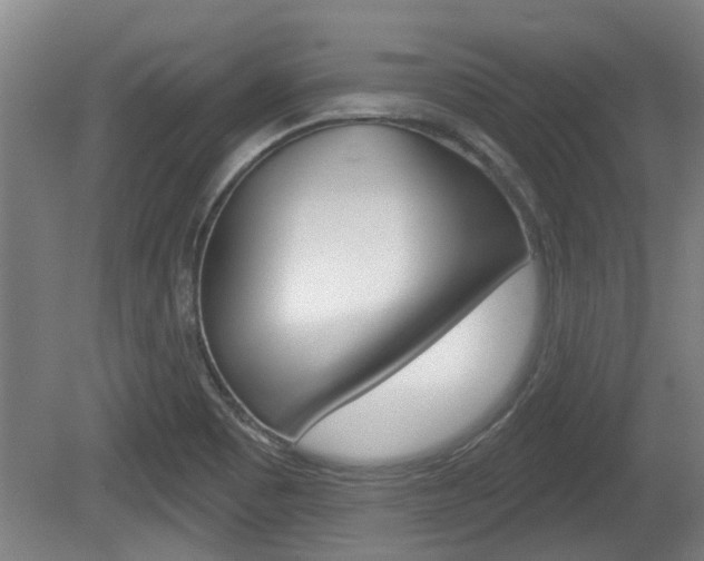 X0000078871465200611131015