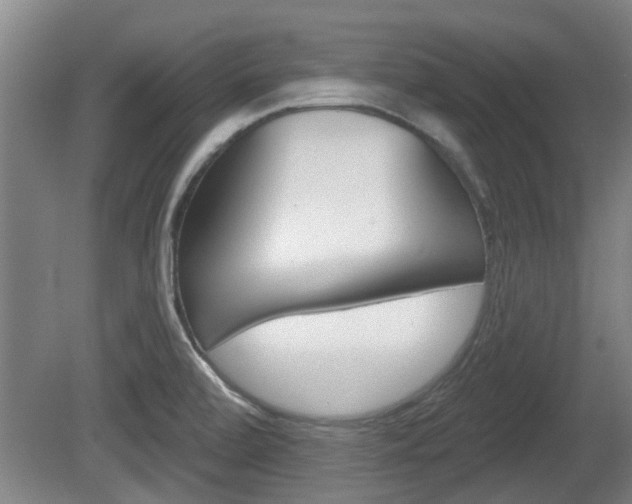 X0000078871472200611131015