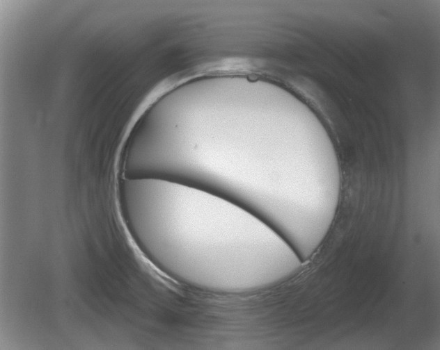X0000078871475200611131015