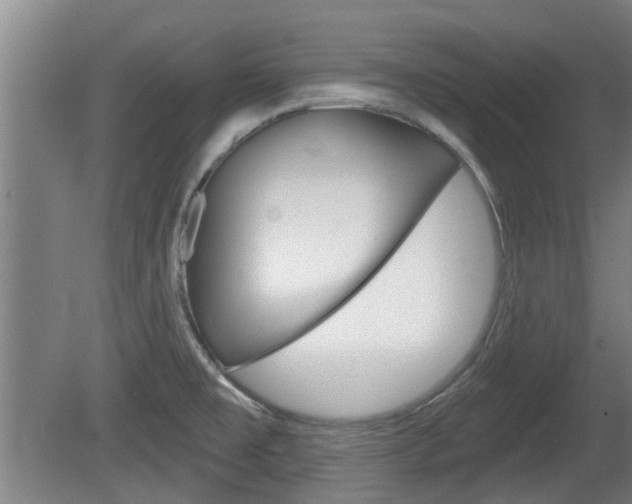 X0000078871477200611131015