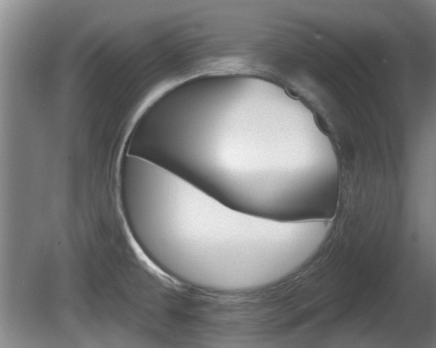 X0000078871479200611131015