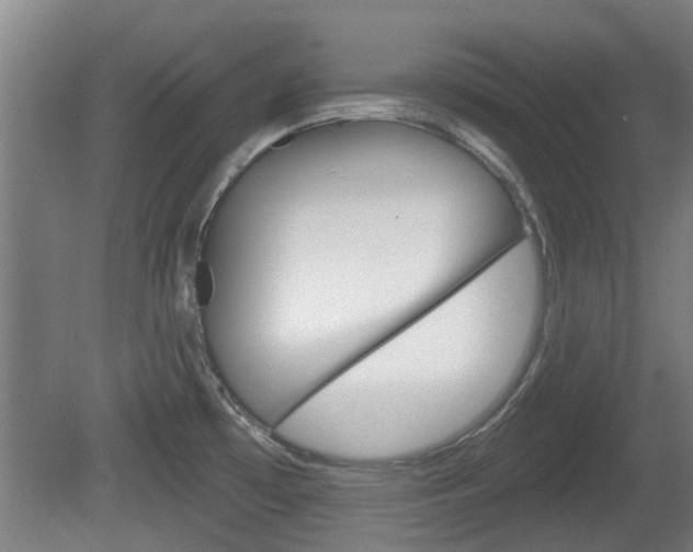 X0000078871481200611131015
