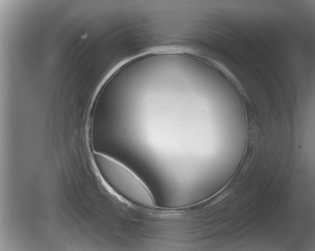 X0000078871484200611131015