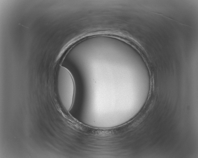 X0000078871501200611131014