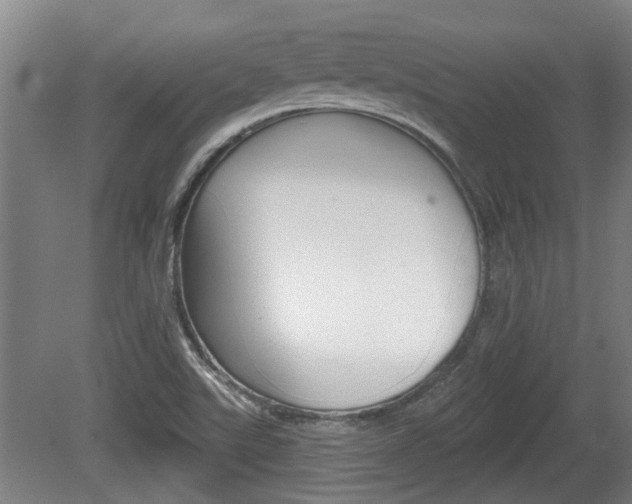 X0000078871507200611131014