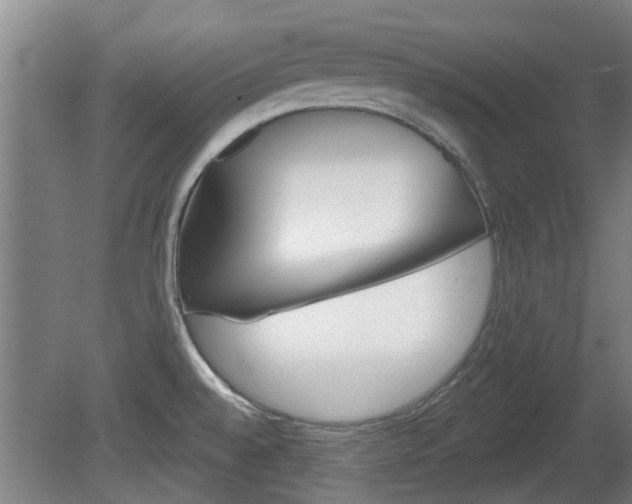 X0000078871528200611131015