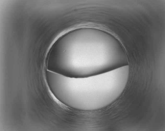 X0000078871531200611131015