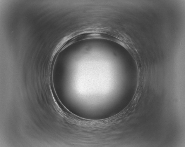 X0000078870003200611131229