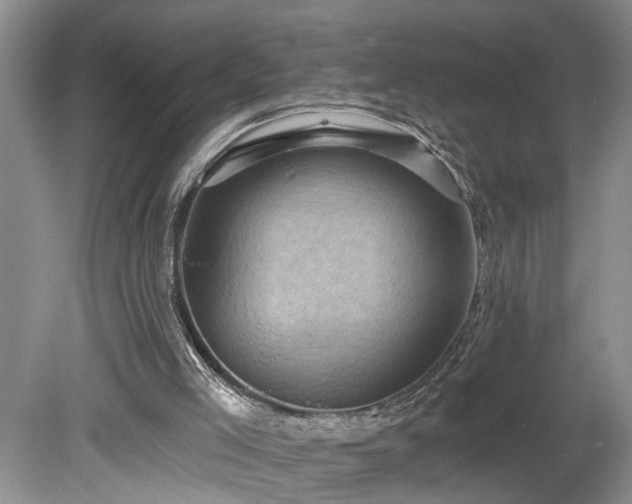 X0000078870005200611131229