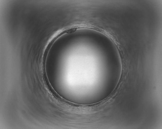 X0000078870008200611131229