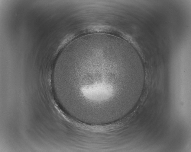 X0000078870010200611131229