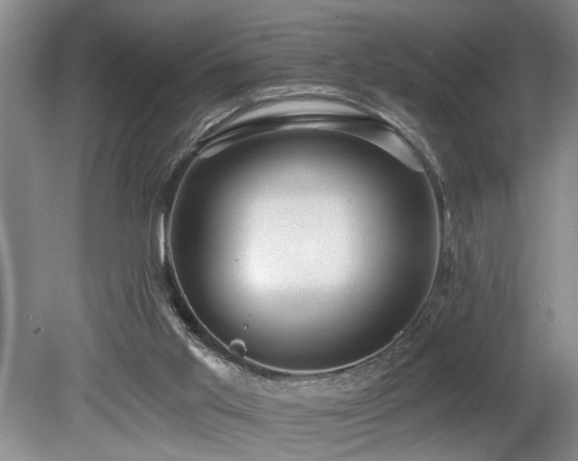 X0000078870013200611131229