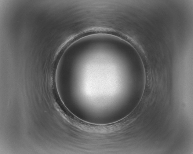 X0000078870015200611131229