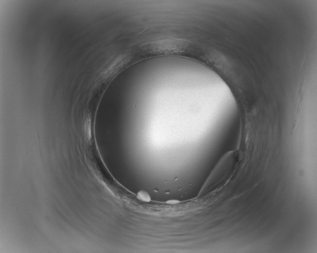 X0000078870021200611131228