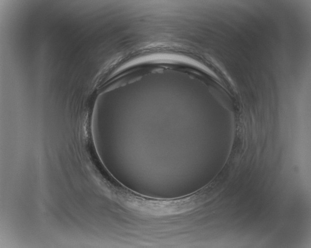 X0000078870023200611131228