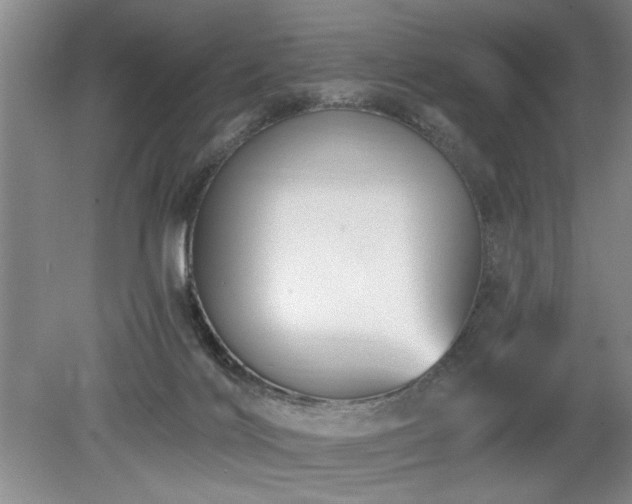 X0000078870028200611131228
