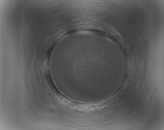 X0000078870029200611131228