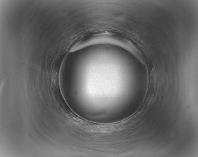 X0000078870033200611131228