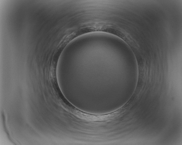 X0000078870035200611131228