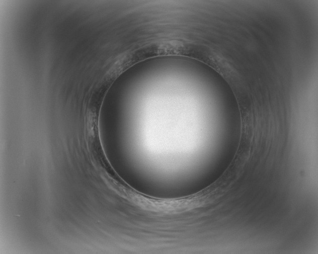 X0000078870038200611131228