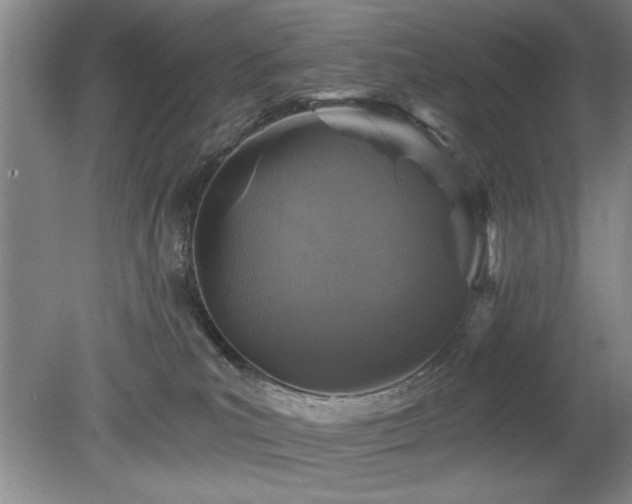 X0000078870039200611131228