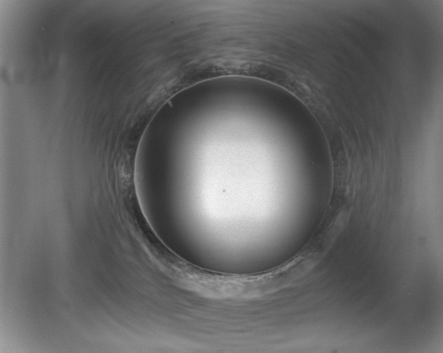 X0000078870040200611131228