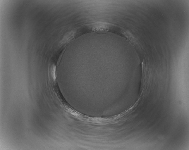 X0000078870041200611131228