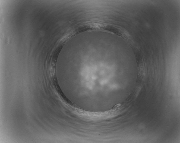 X0000078870043200611131228