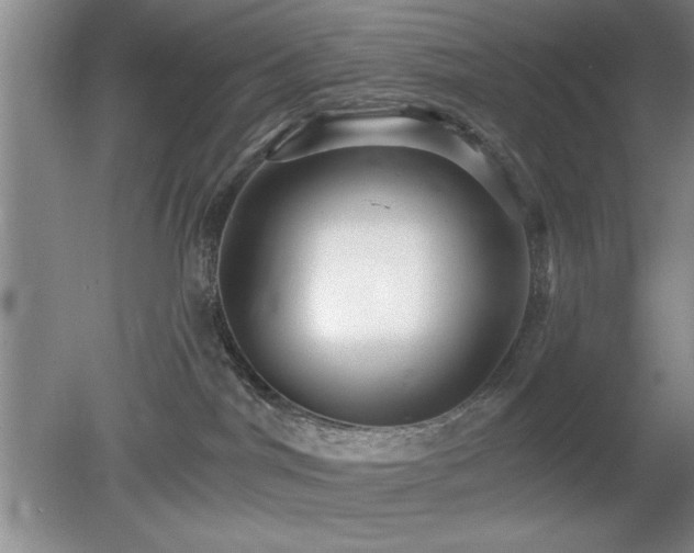 X0000078870044200611131228
