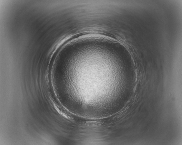X0000078870050200611131227