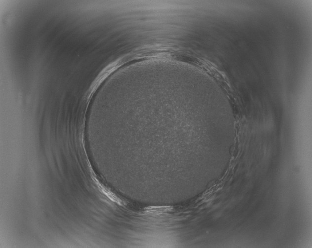 X0000078870051200611131227