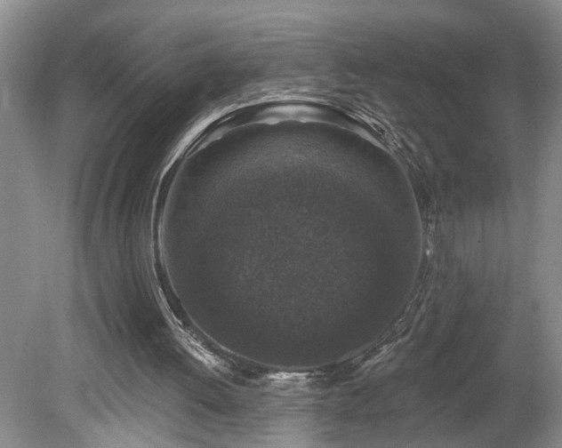 X0000078870052200611131227