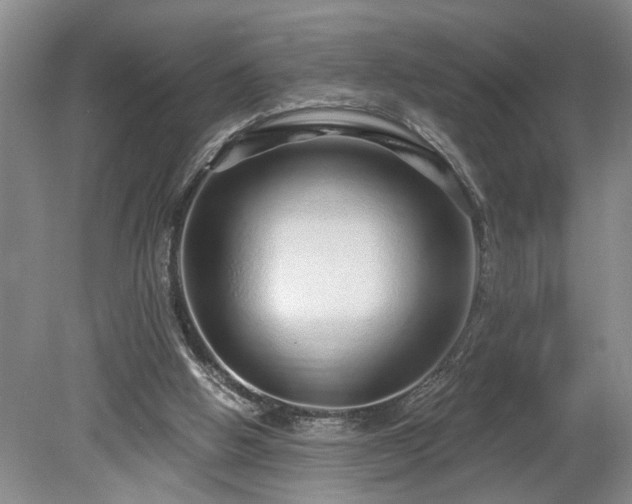 X0000078870058200611131227