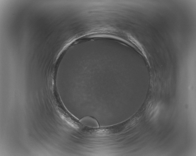 X0000078870059200611131227