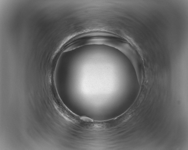 X0000078870060200611131227