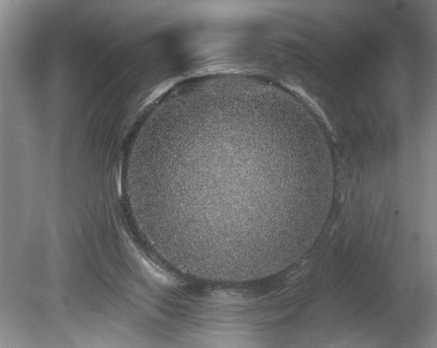 X0000078870062200611131227