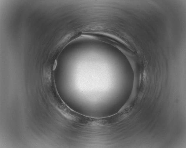 X0000078870072200611131228