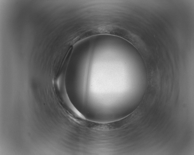 X0000078870075200611131228