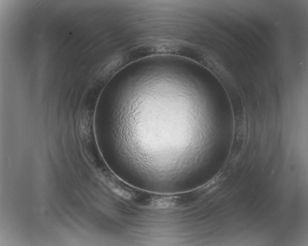 X0000078870078200611131228