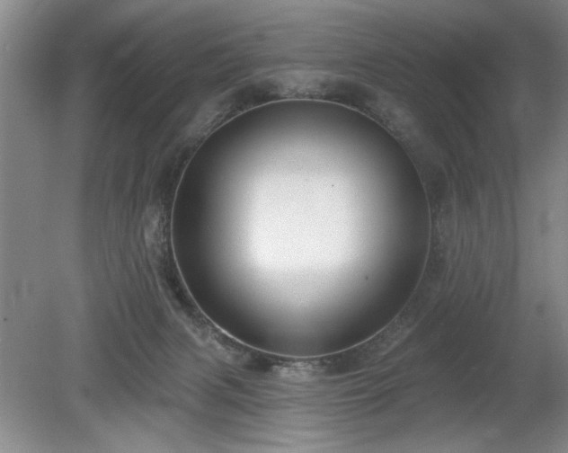 X0000078870079200611131228