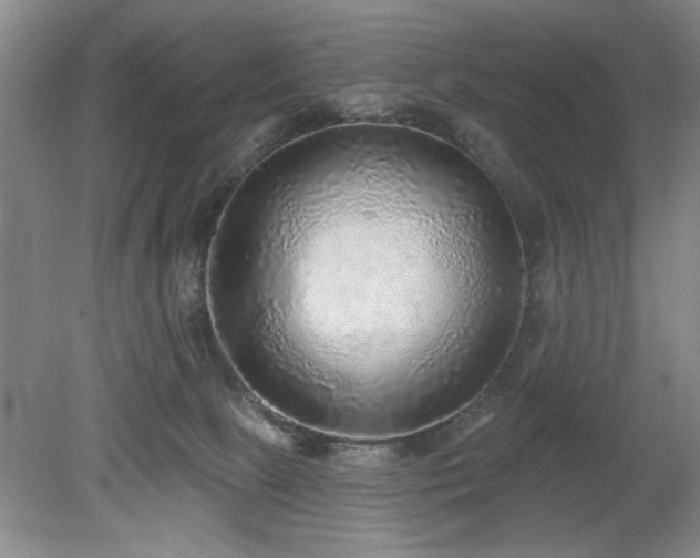X0000078870081200611131228