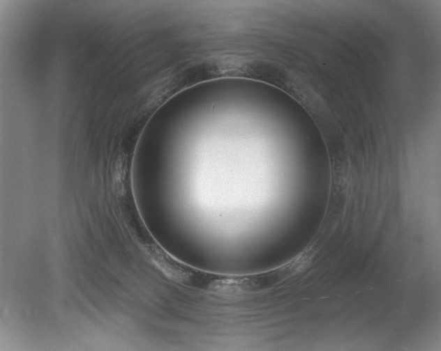 X0000078870082200611131228
