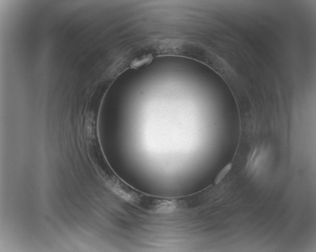 X0000078870083200611131228