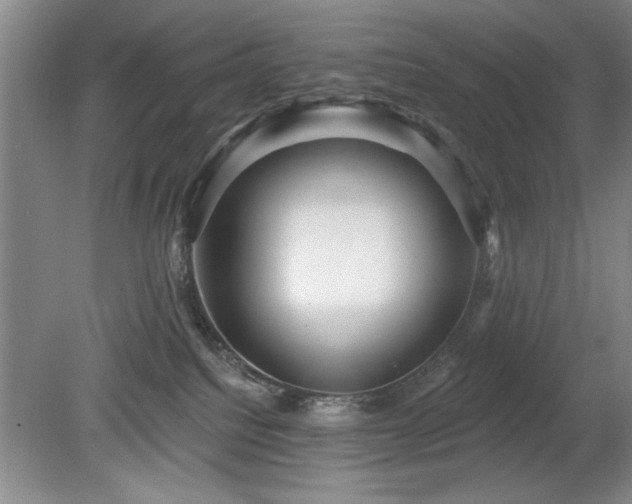 X0000078870088200611131228