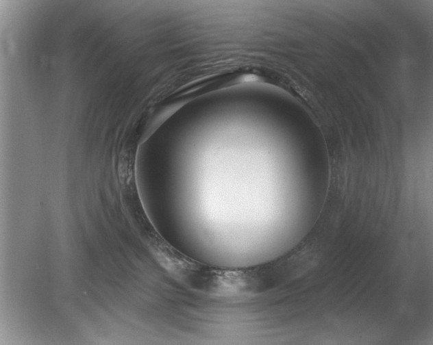 X0000078870091200611131228
