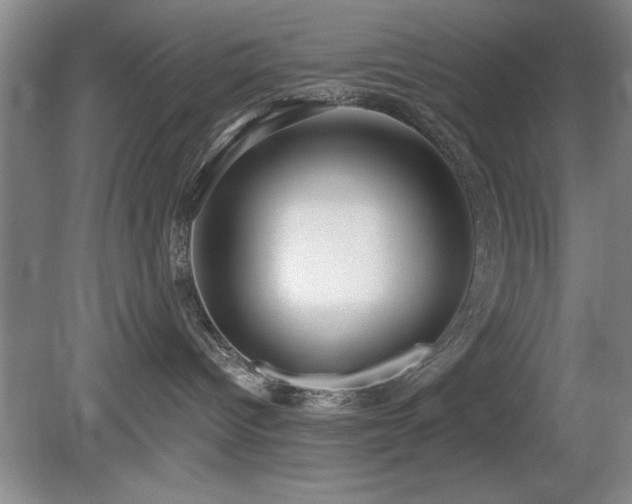 X0000078870096200611131228